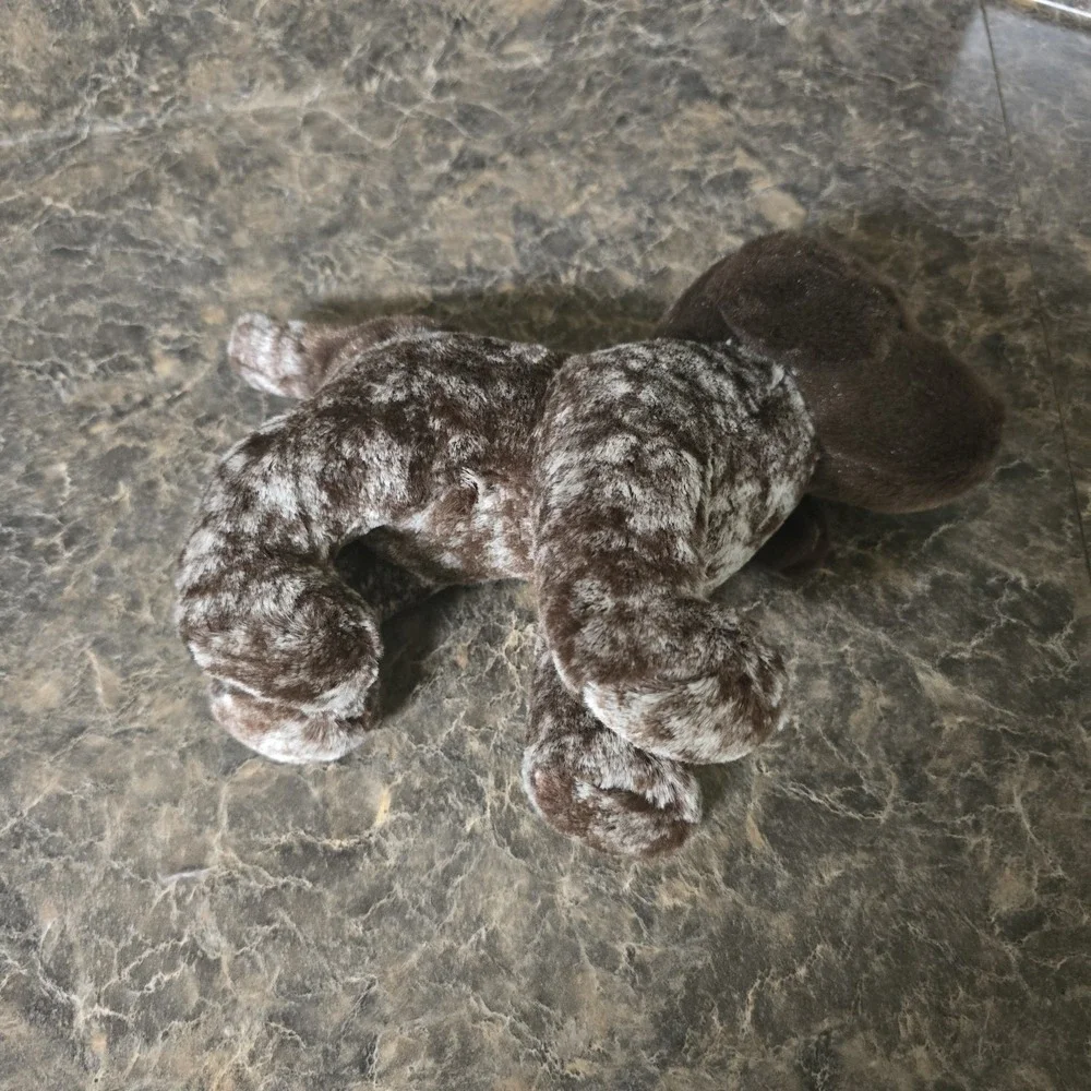 Douglas Ivan German Shorthaired Pointer GSP Dog Plush Stuffed‎ Animal Approx  9